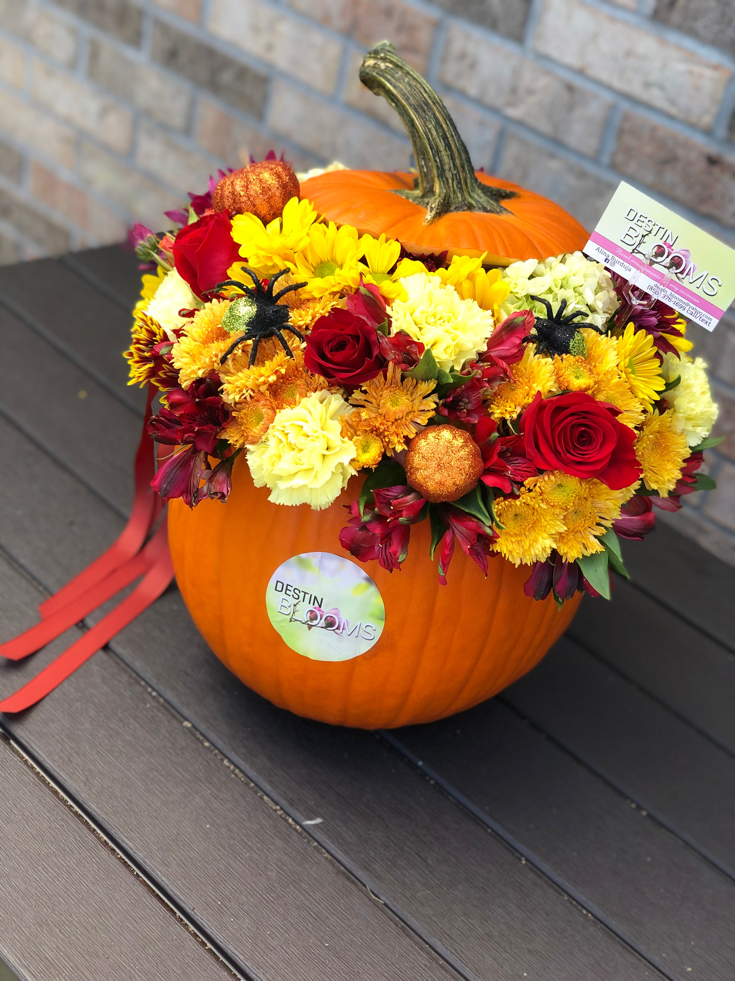 Blooming Pumpkin - in Destin, FL