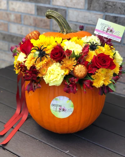 Blooming Pumpkin - in Destin, FL thumbnail 2