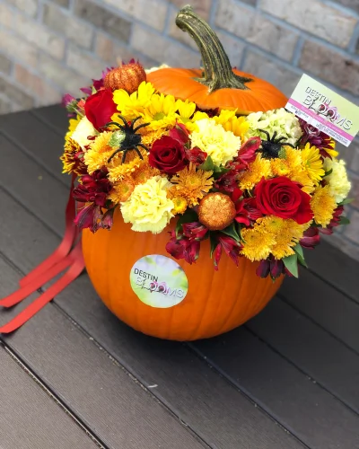 Blooming Pumpkin - in Destin, FL